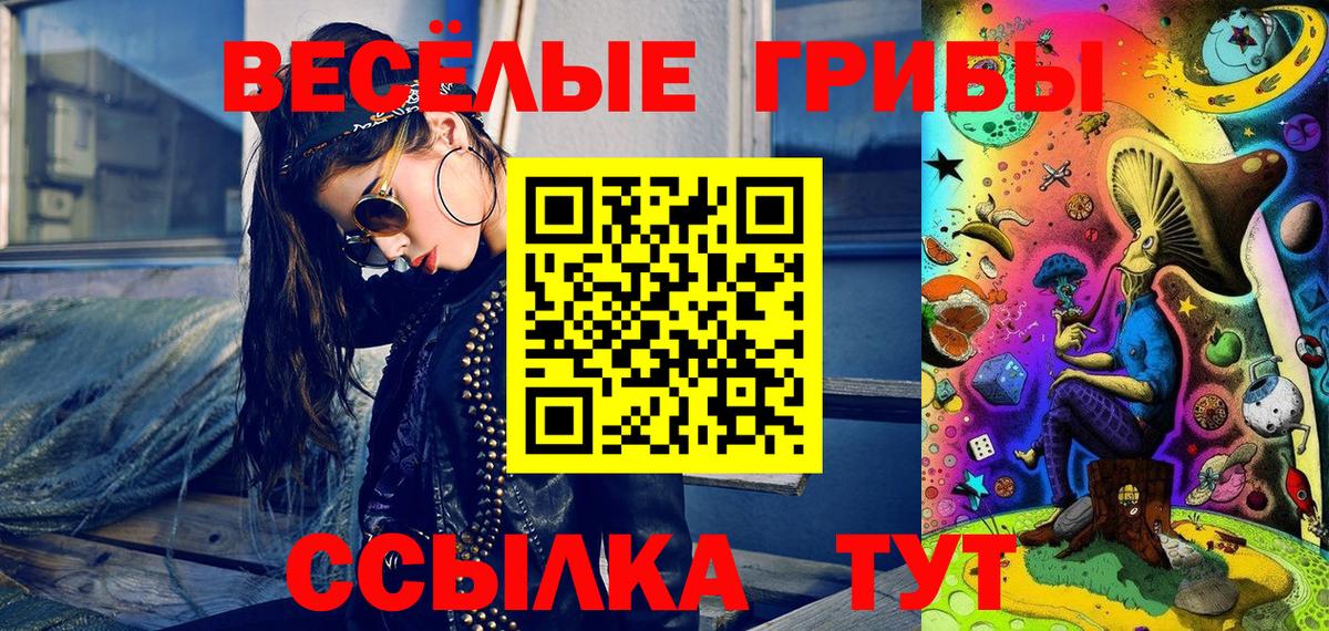 Псилоцибиновые грибы Cubensis Таганрог